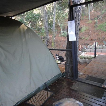 Eagles' Call Cottages And Tent Wildernis Eksteriør billede