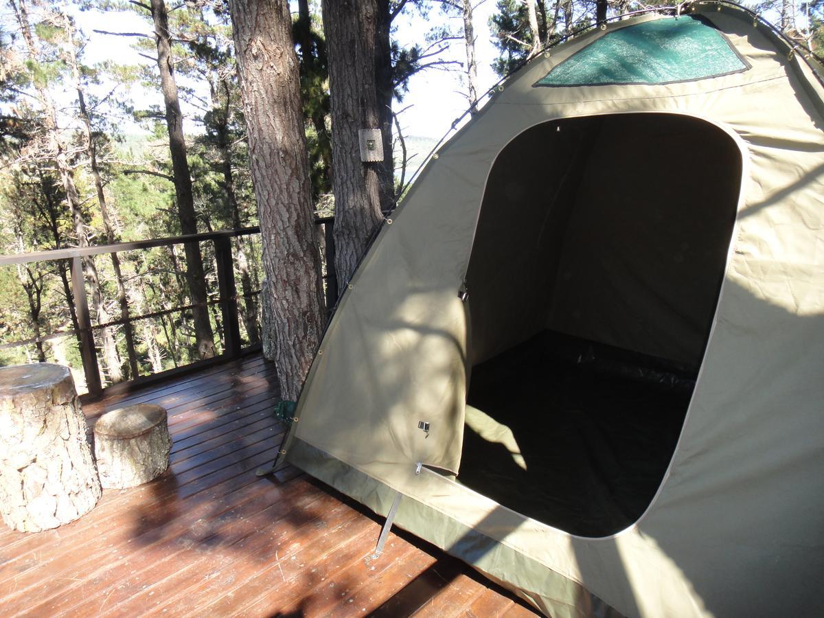 Eagles' Call Cottages And Tent Wildernis Eksteriør billede