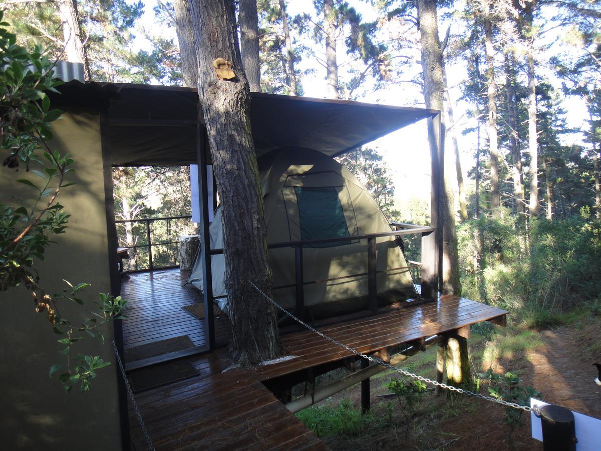 Eagles' Call Cottages And Tent Wildernis Eksteriør billede