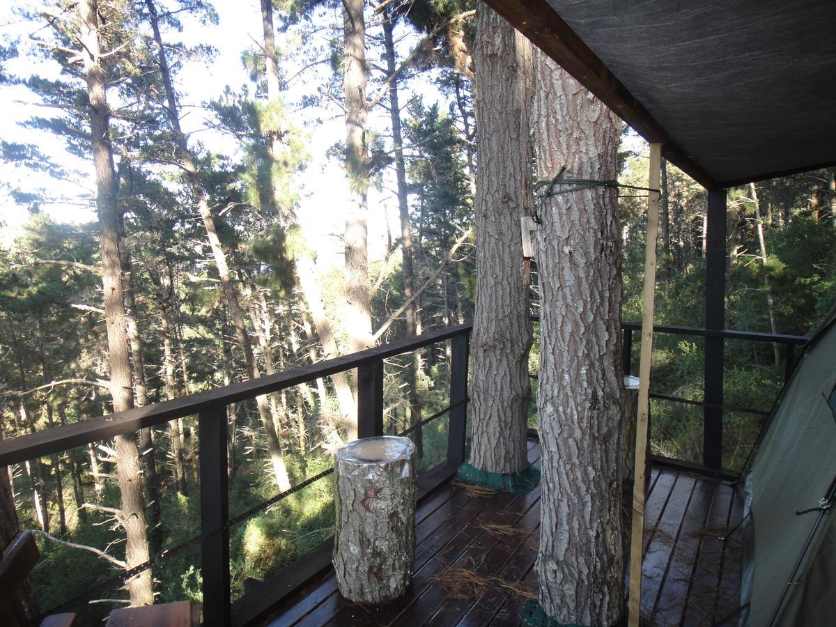 Eagles' Call Cottages And Tent Wildernis Eksteriør billede